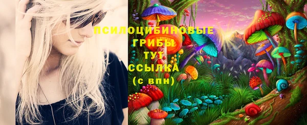 винт Алексеевка