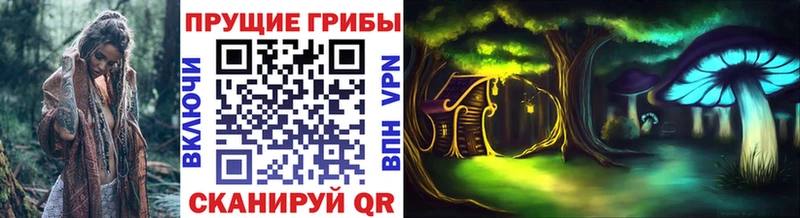 дарк нет наркотические препараты Красногорск mega как зайти Галлюциногенные грибы GOLDEN TEACHER купить закладку